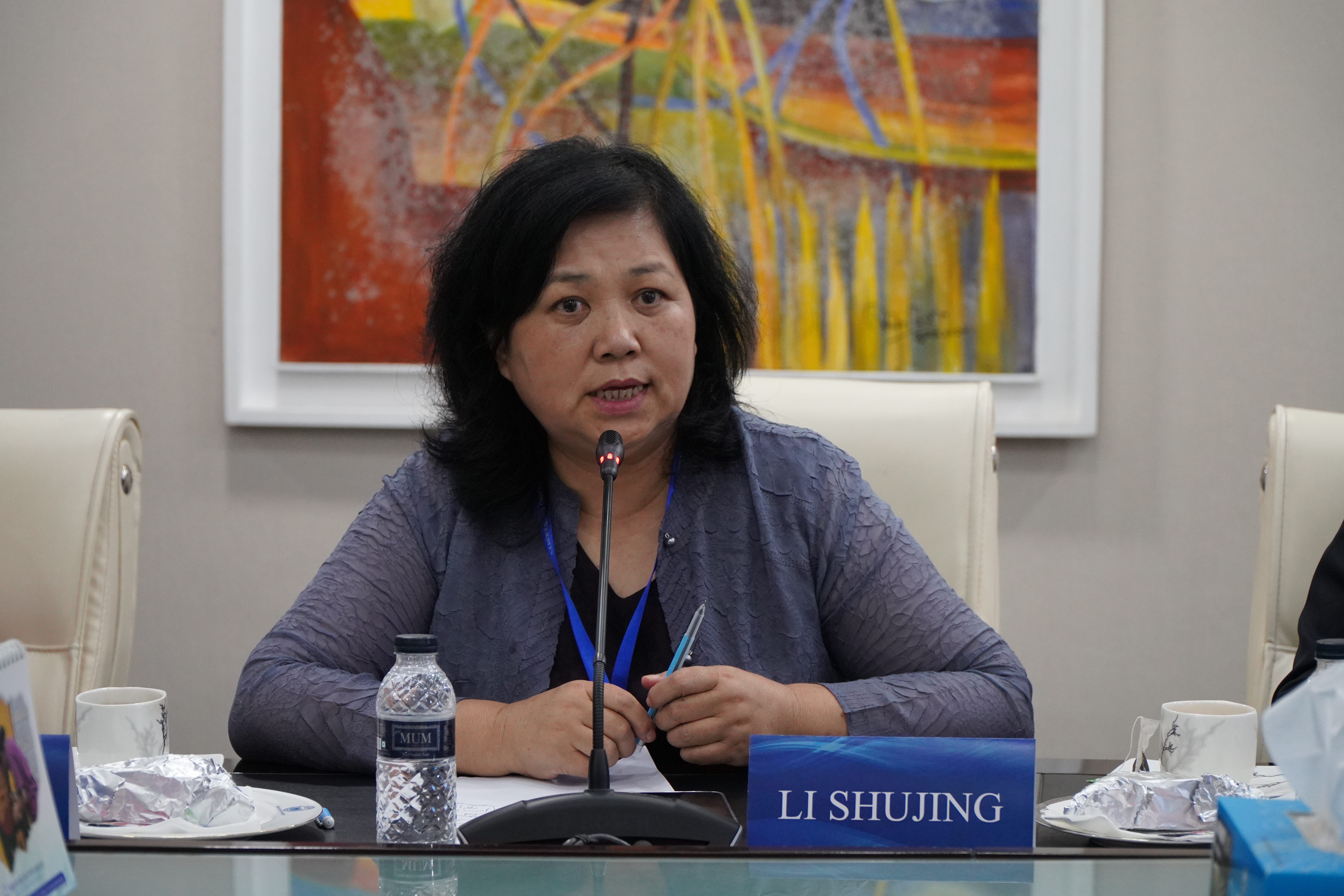 Peking University (11)