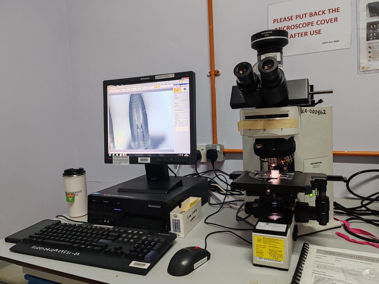 Exchange Program Universiti Malaya 11